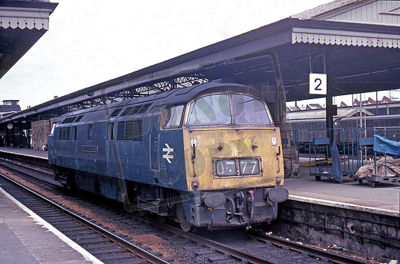 D1016 1976 Newton Abbot