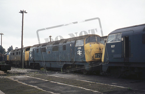 D866 1970s Newton Abbot