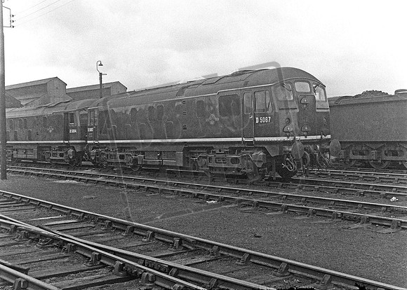 D5067 1959c