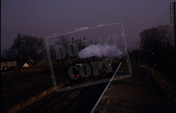 73170 1964-03-ROS-259