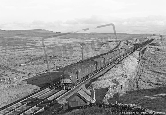 D312 1964c Shap