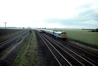 46001 1979-05-21 Woodcroft near Helpston