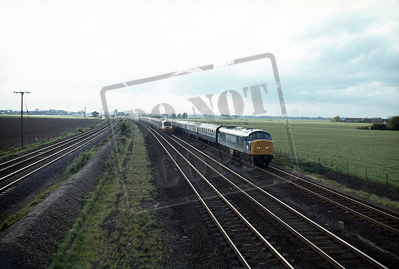 46001 1979-05-21 Woodcroft near Helpston