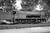 49538 1950s Trent