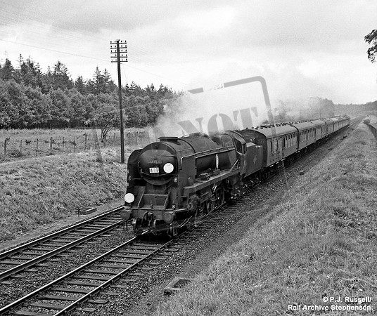 34060 1960s Woodfidley in the New Forest