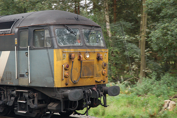 56303 2008-09-16 Sutton Park (10)