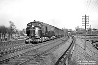 10001 1950 Rugby