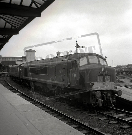 D33 1965 Gloucester