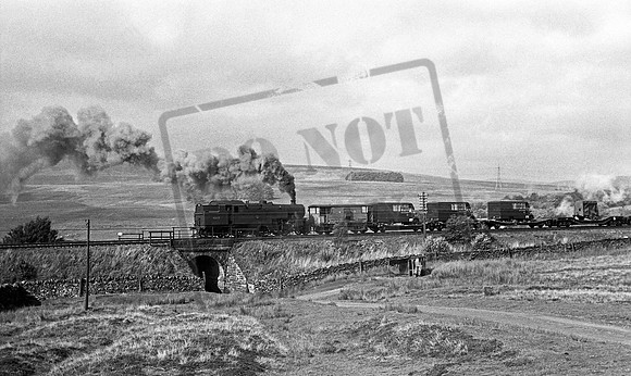 42611 1966 Shap