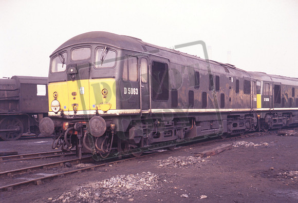 D5063 1966c
