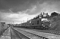 10001 1950-08-19 Tebay