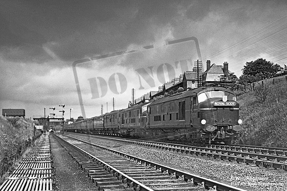 10001 1950-08-19 Tebay