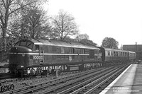 10000 1953-05-03 East Putney