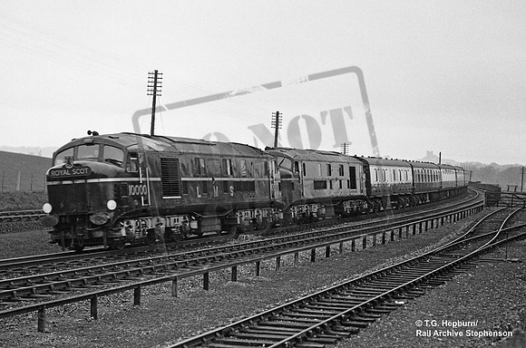 10000 1951-05-15 Stafford