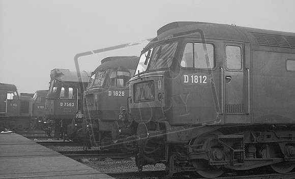 D1812 D1628 D7563 1965c Toton