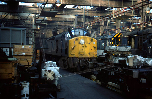 400xx 1976-11 York MPD