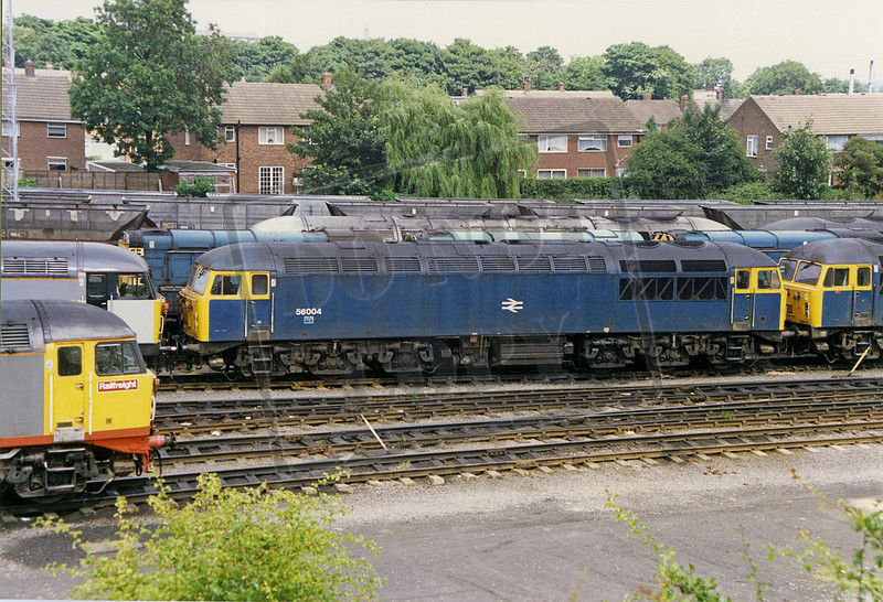 Rail-Online | Class 56 | 56004 1988-07-09 Knottingley shed