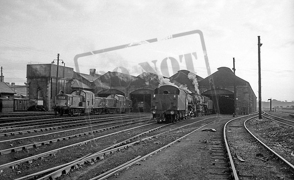 D85xx 1965 Motherwell shed