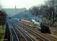 60012 1960s Princes Street Gardens