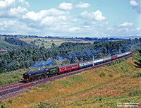 70013 1968-08-11 Barron Wood Siding