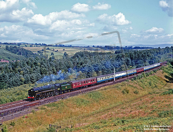 70013 1968-08-11 Barron Wood Siding