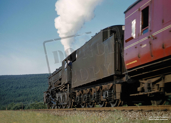 907xx 1961-08 Greskine