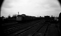 25116 25206 1979-06-28 Quainton Road-ROneg-1802-154