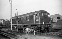 D5003 1959 Hither Green-ROneg-1612-785-092