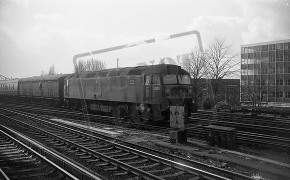 D1925 1967-03-28 Woking-ROneg-1803-206