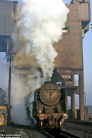 72001 1960s Perth South shed