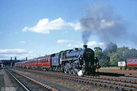 73008 1960s Perth