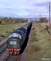 D362 1962c where?