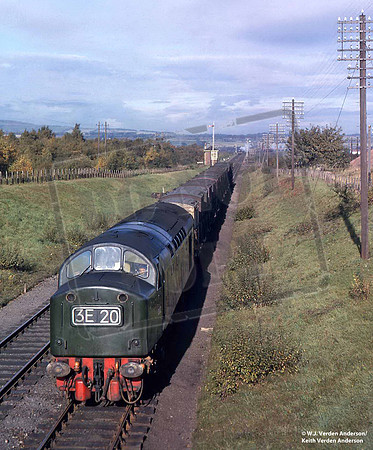 D362 1962c where?