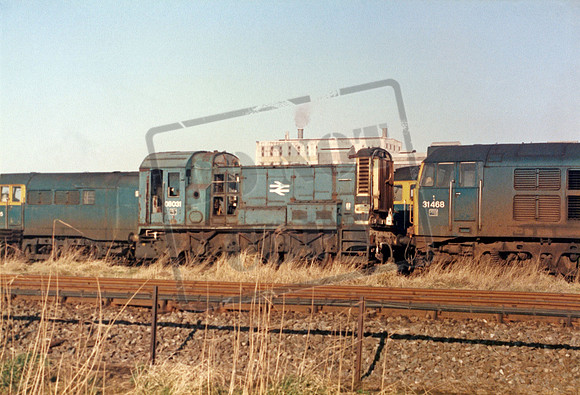 08031 1986-01-26 Immingham TMD