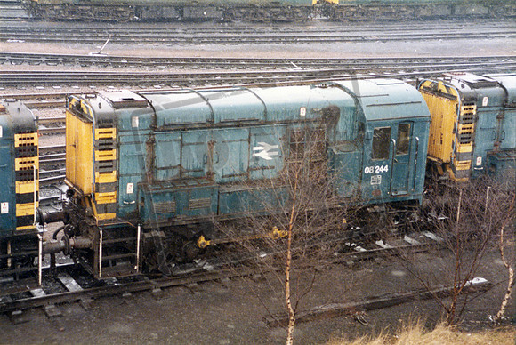 08244 1984-02-26 Tinsley