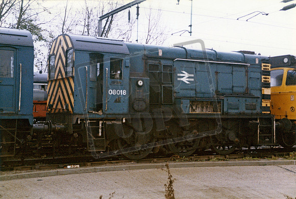 08018 1984-11-18 Allerton TMD