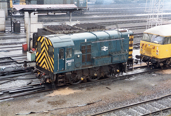 08877 1984-02-26 Tinsley shed