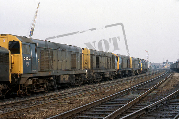 20213 1980-04-26 Shirebrook