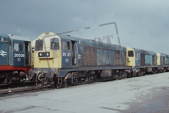 20187 1988c Toton