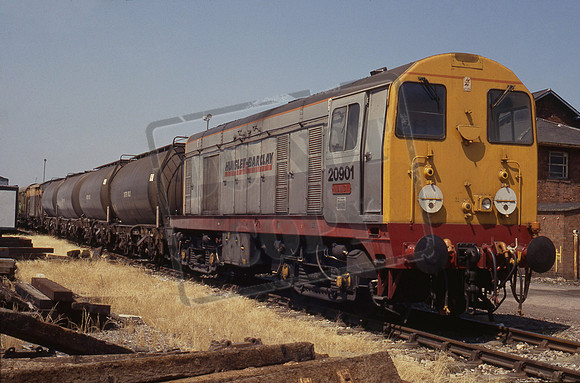 20901 1990-07-24 Hereford