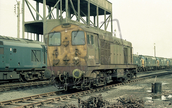 20026 1977-05-01 Immingham