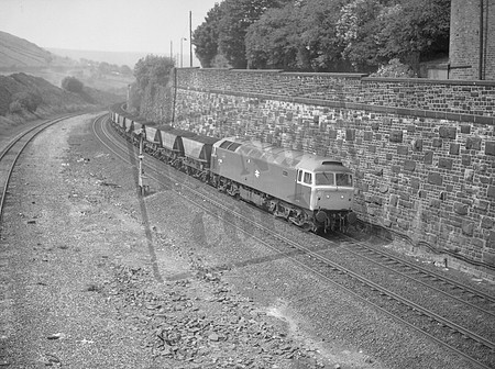 47xxx 1984c Marsden -ROneg-JC62-122