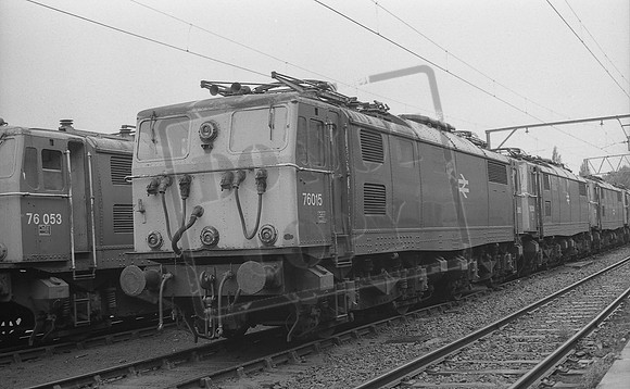 76015 1981-06-14 Reddish