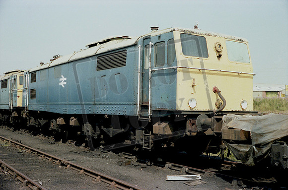 76002 1981-08 Reddish