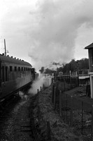 32661 1963 Hayling Island branch -ROSneg-1503-276