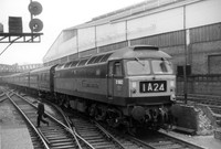 D1662 1965c Paddington-RObwp-281