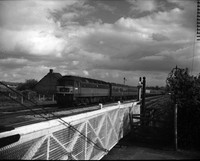 D1694 1960s-ROneg-139
