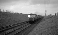 D53xx 1960s Stonehaven.-ROneg022