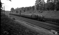 76xxx 1961-08-19 south of Clapham Junction-ROneg-1406-078