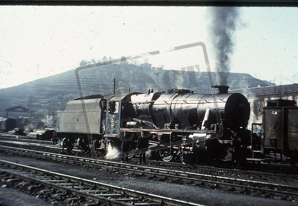 45155 1981-ROS-1708-017